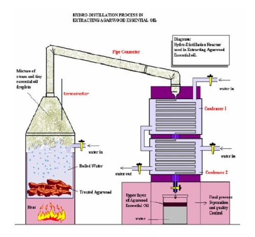 आसवन,essential oil distillation method in hindi,aaswan essential oil,